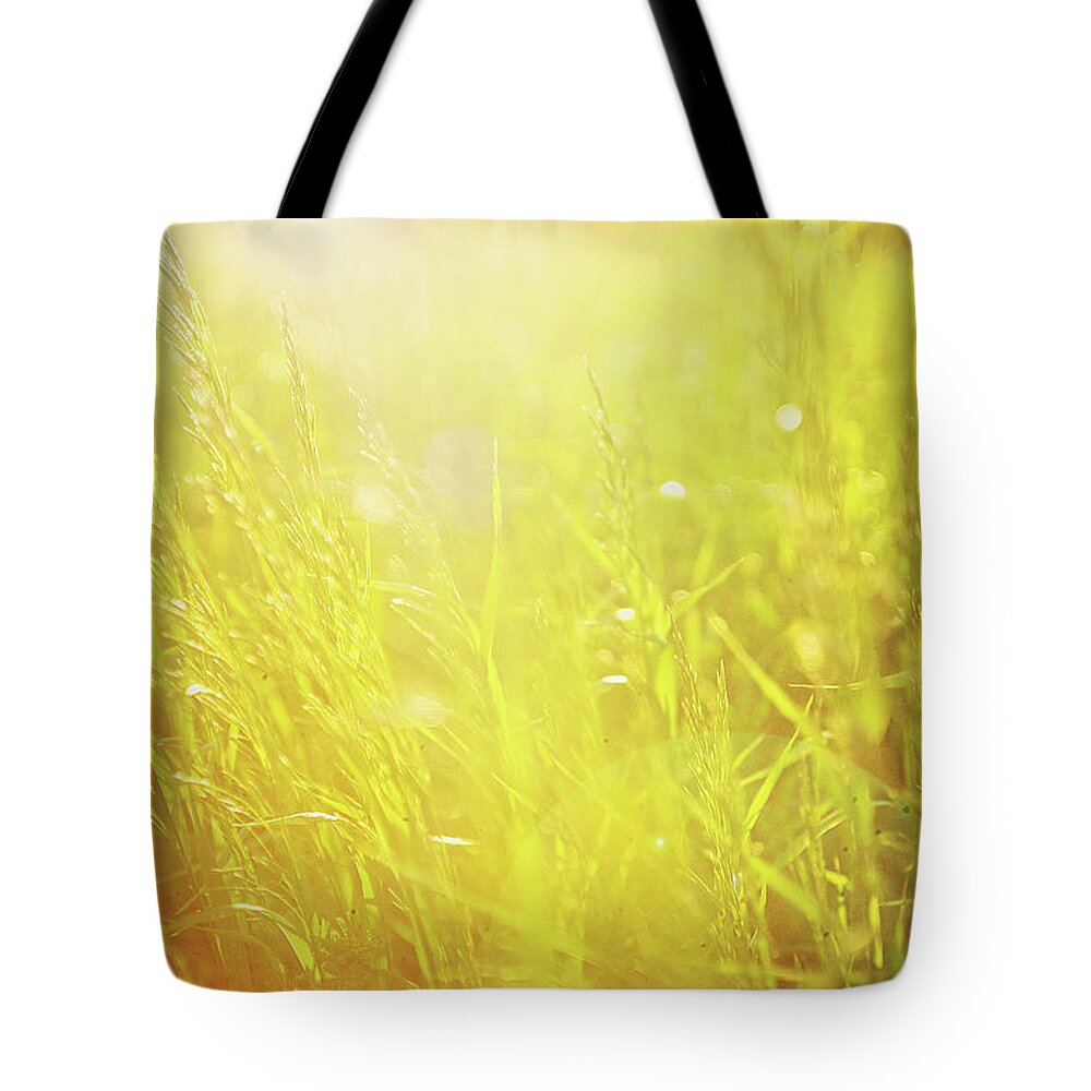 Sun Tote Bag featuring the photograph Evening Field by Megan Swormstedt