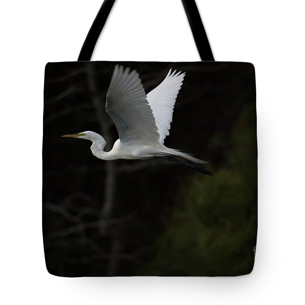 Egret Tote Bag featuring the photograph Evening Flight by Dale Powell