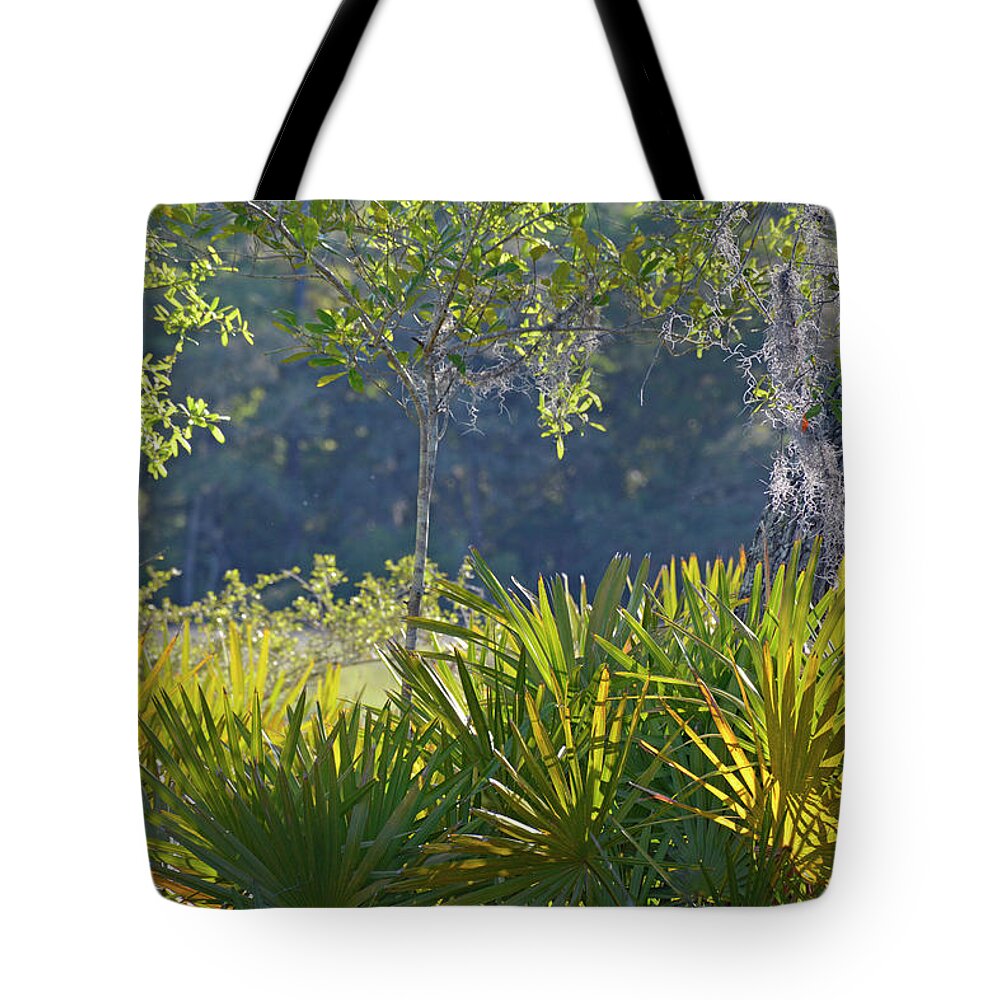 Beach Photographs Tote Bag featuring the photograph Evening Foliage by Bruce Gourley