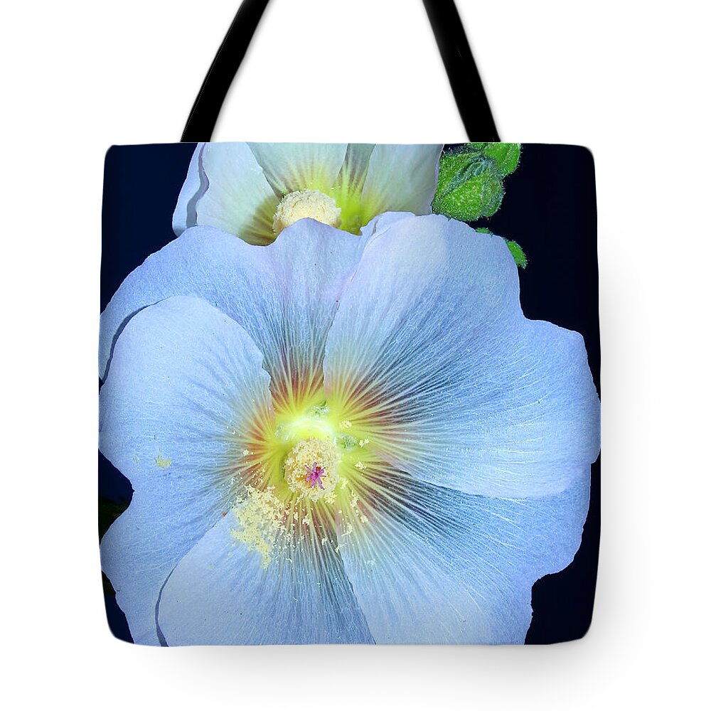 Alcea Tote Bag featuring the photograph Evening Hollyhock by Tammy Schneider