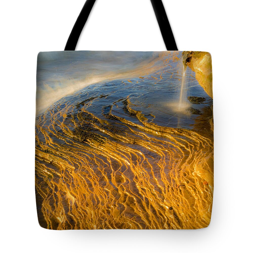 Action Tote Bag featuring the photograph Evening Light by Eggers Photography