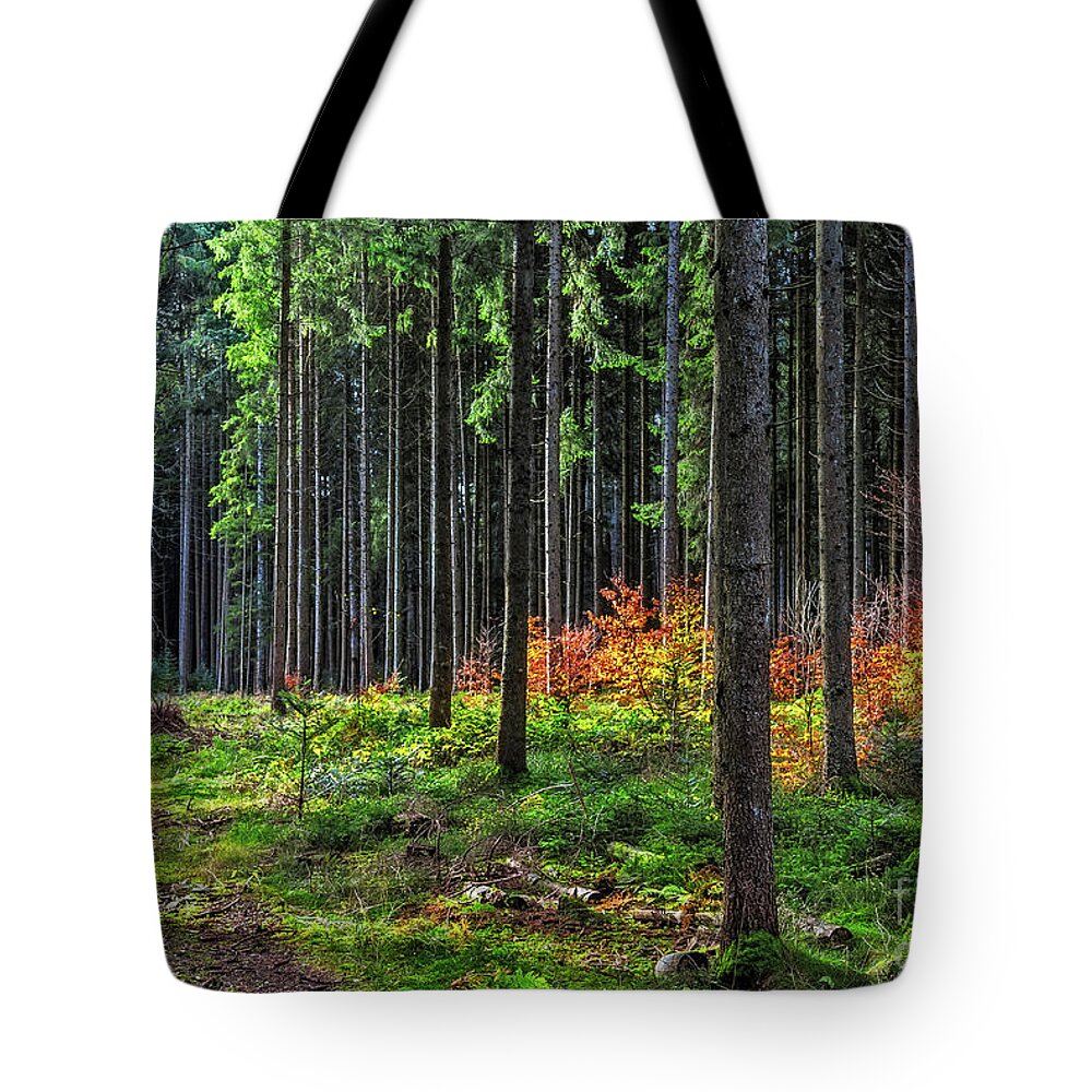 Black-forest Tote Bag featuring the photograph Evening light by Bernd Laeschke