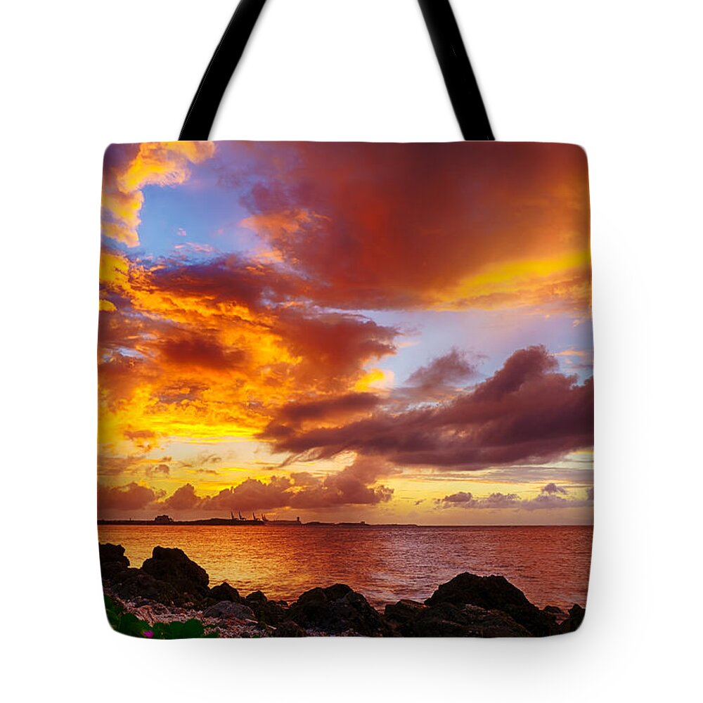 Pristine Tote Bag featuring the photograph Evening Light Show by Amanda Jones