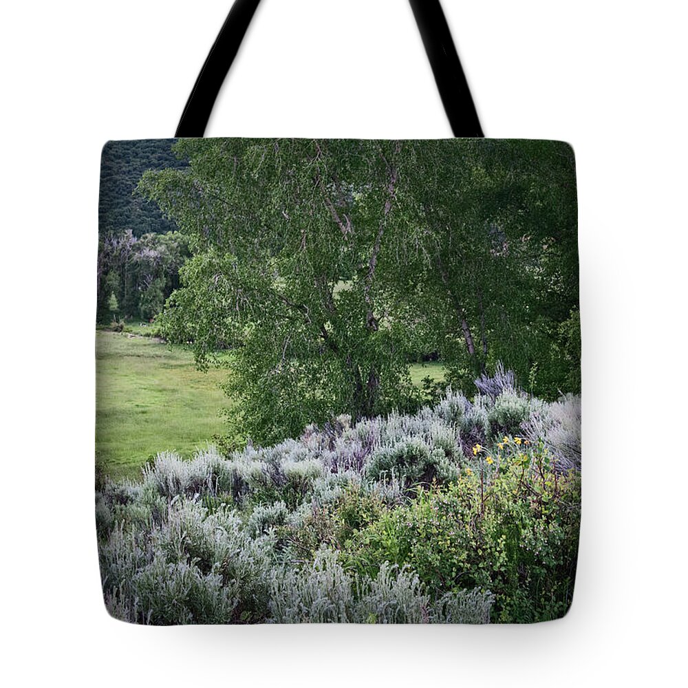 Wyoming Tote Bag featuring the photograph Evening Settles In Wyoming by Peggy Dietz