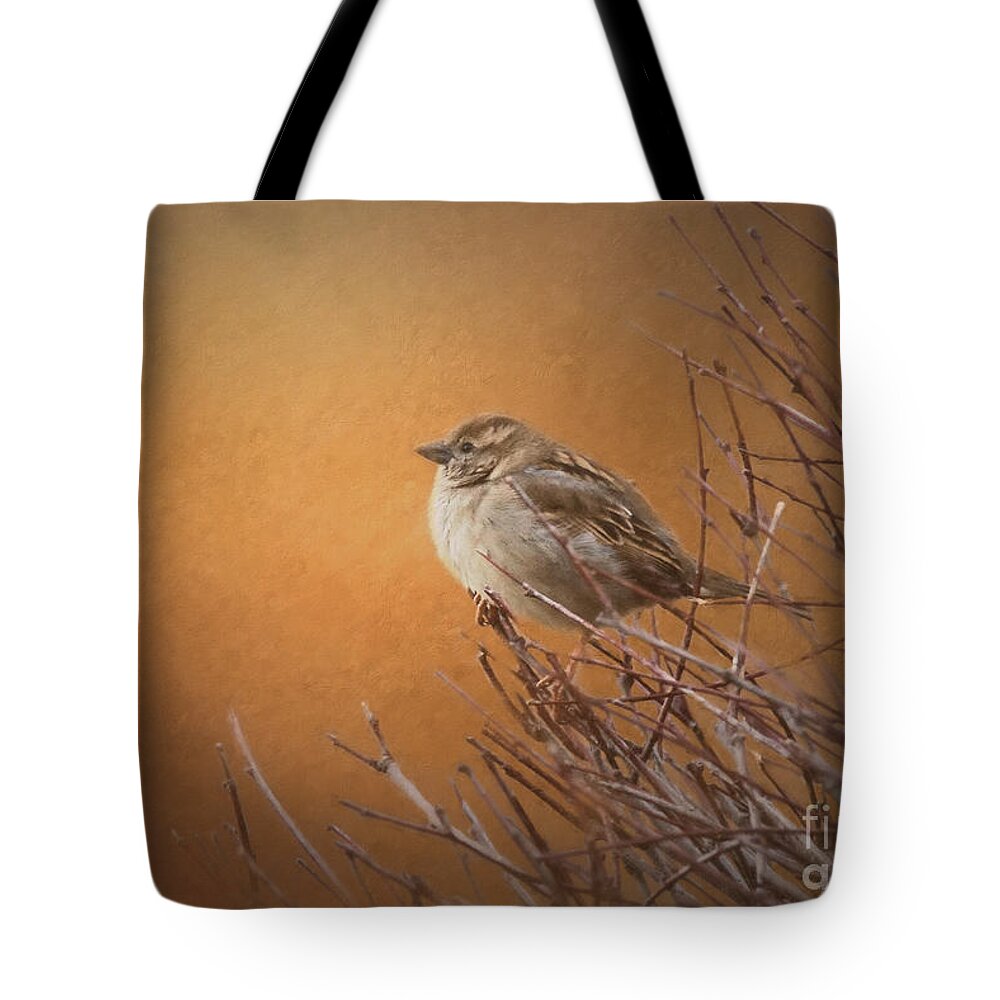 Nature Tote Bag featuring the photograph Evening Sparrow Song by Sharon McConnell