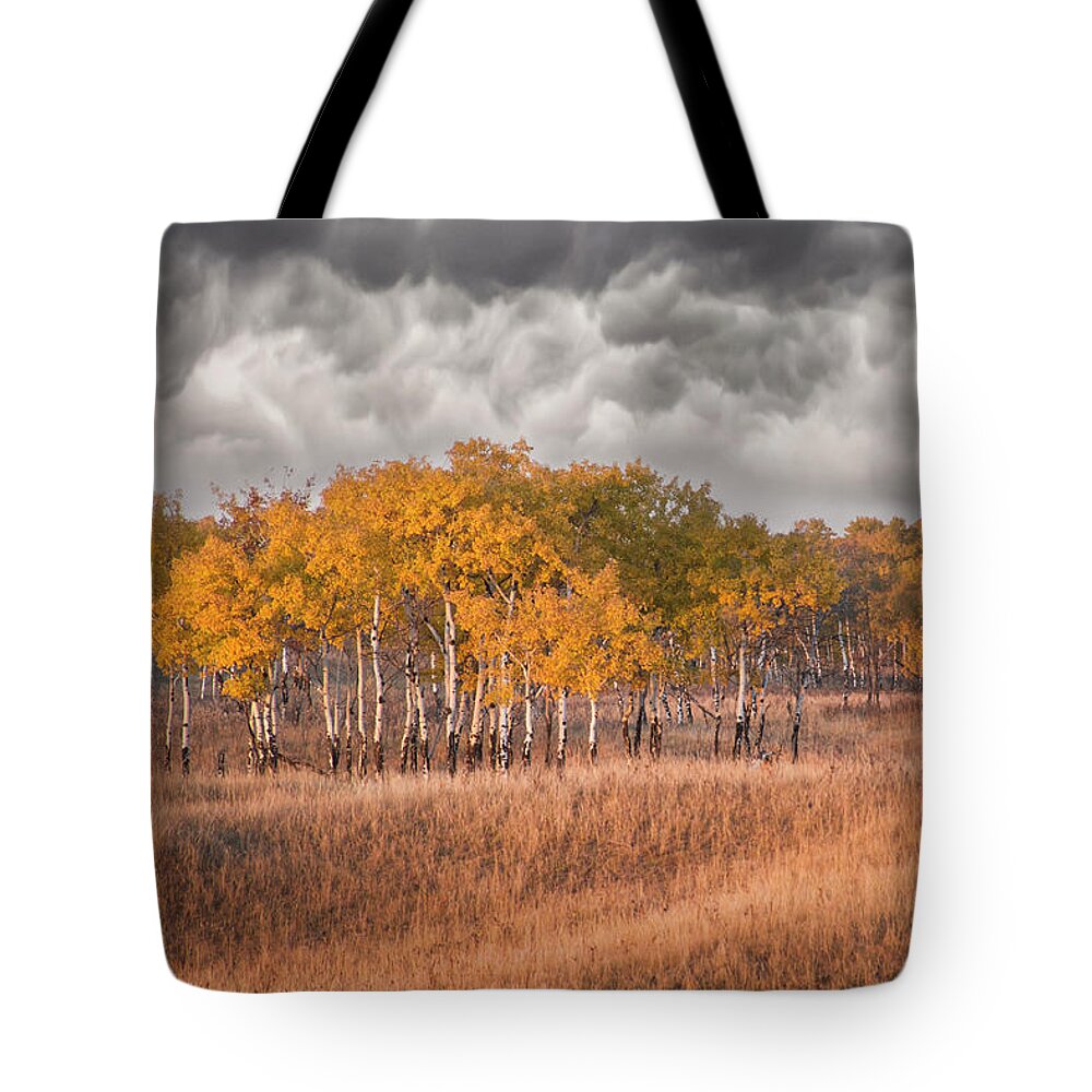 Clouds Tote Bag featuring the photograph Evening Sun by Ellery Russell