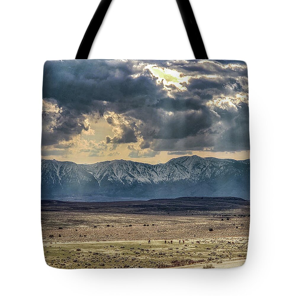  Tote Bag featuring the photograph Evening w/Samson by John T Humphrey