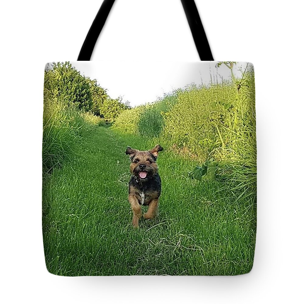 Dog Tote Bag featuring the photograph Walkies Joy by Rowena Tutty