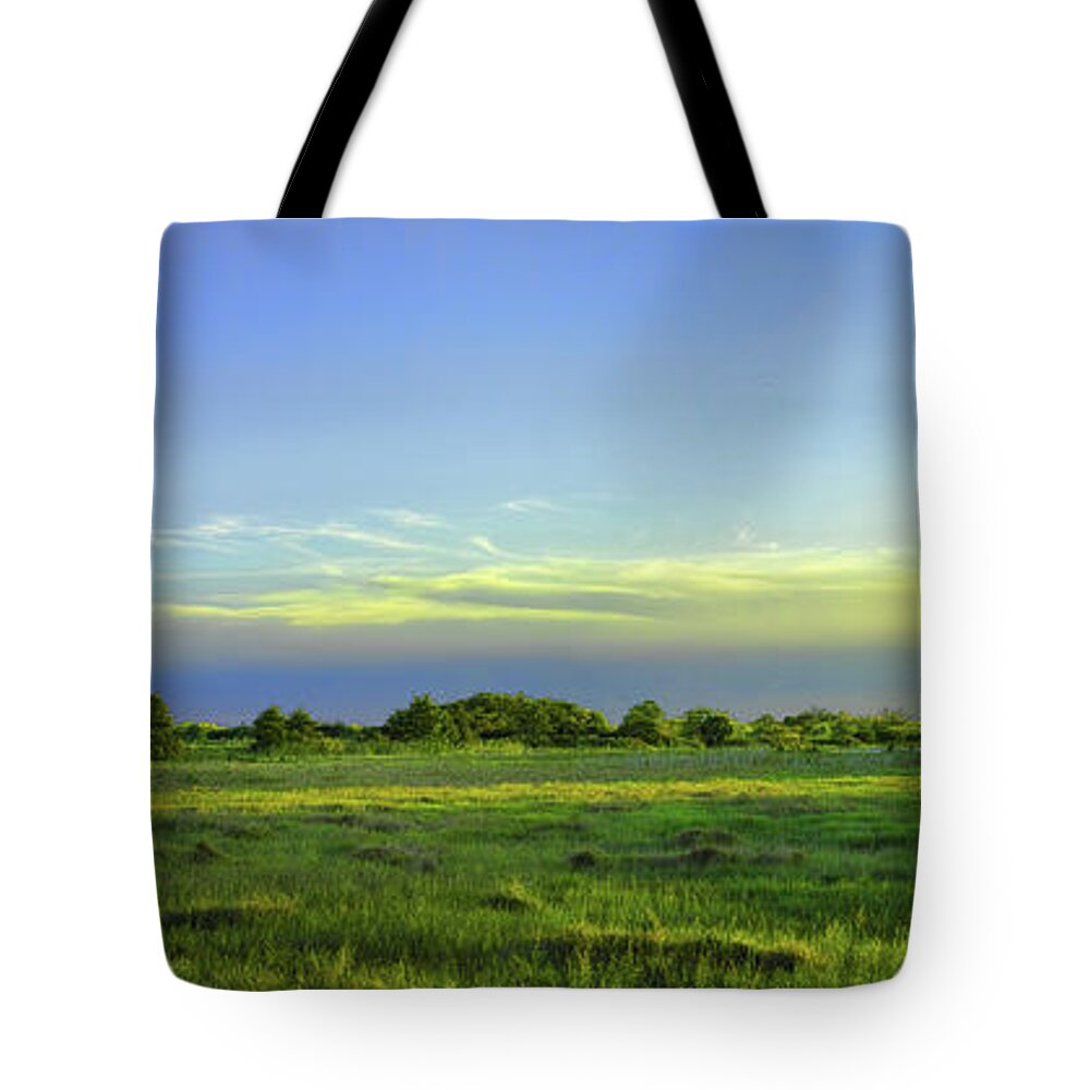 Everglades Tote Bag featuring the photograph Everglades Panorama by Roberto Aloi