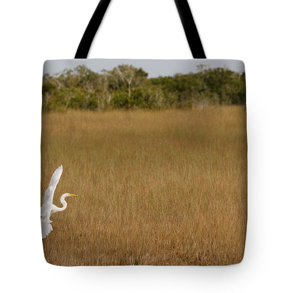Everglades National Park Tote Bag featuring the photograph Everglades 429 by Michael Fryd