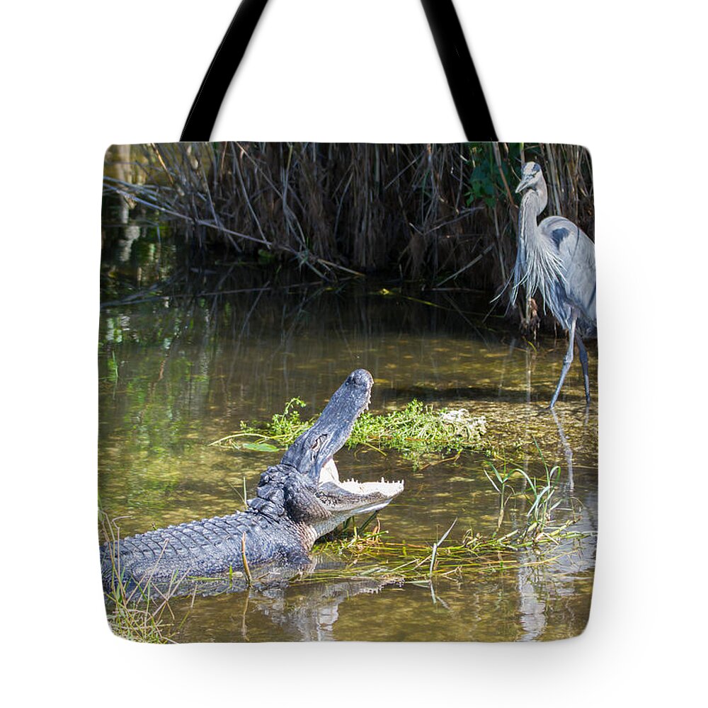 Everglades National Park Tote Bag featuring the photograph Everglades 431 by Michael Fryd