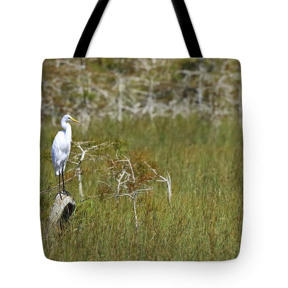 Everglades National Park Tote Bag featuring the photograph Everglades 451 by Michael Fryd