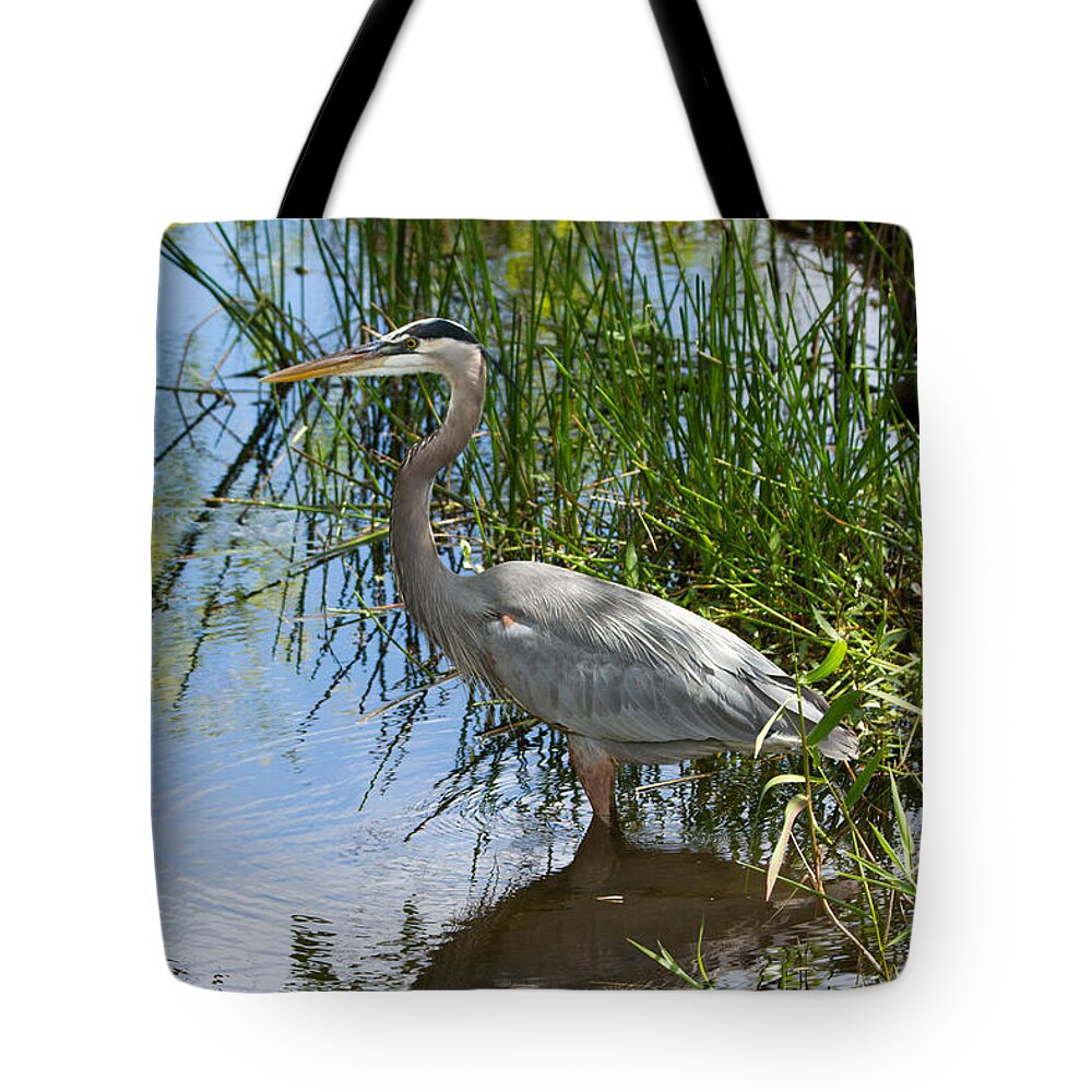 Everglades National Park Tote Bag featuring the photograph Everglades 572 by Michael Fryd