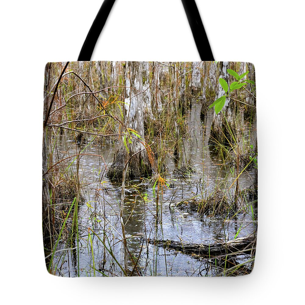 The Everglades Tote Bag featuring the photograph Everglades Swamp One by Bob Phillips