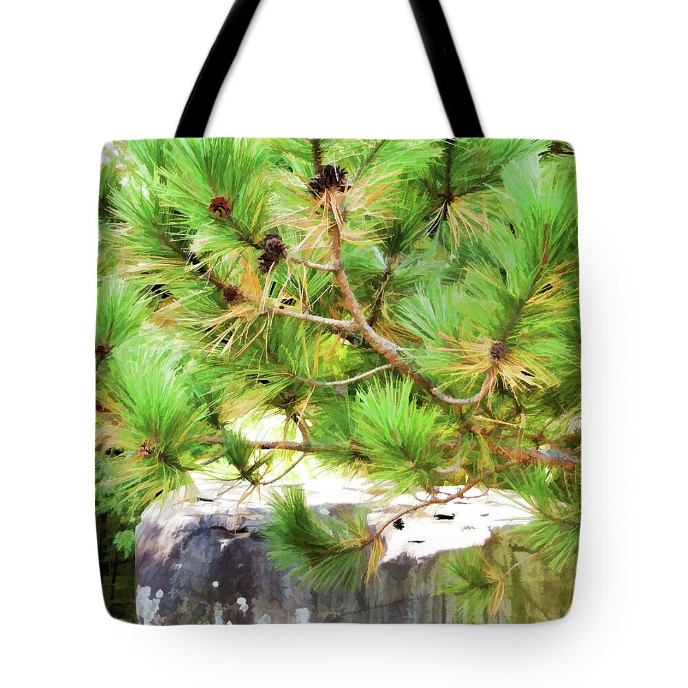 Evergreen-tree-branches-with-cones Tote Bag featuring the painting Evergreen tree branches with cones by Jeelan Clark