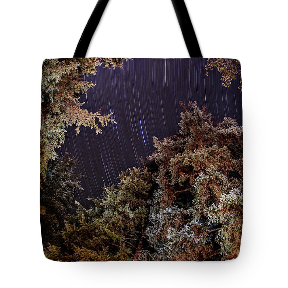 Star Trail Tote Bag featuring the photograph Evergreen Trees Star Trails by Pelo Blanco Photo