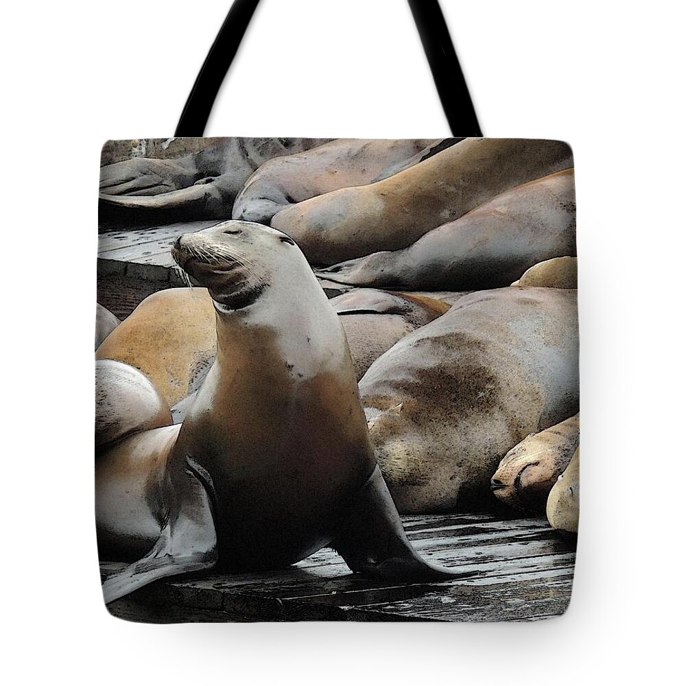 Wildlife Tote Bag featuring the photograph Everybody Wake Up by Coke Mattingly