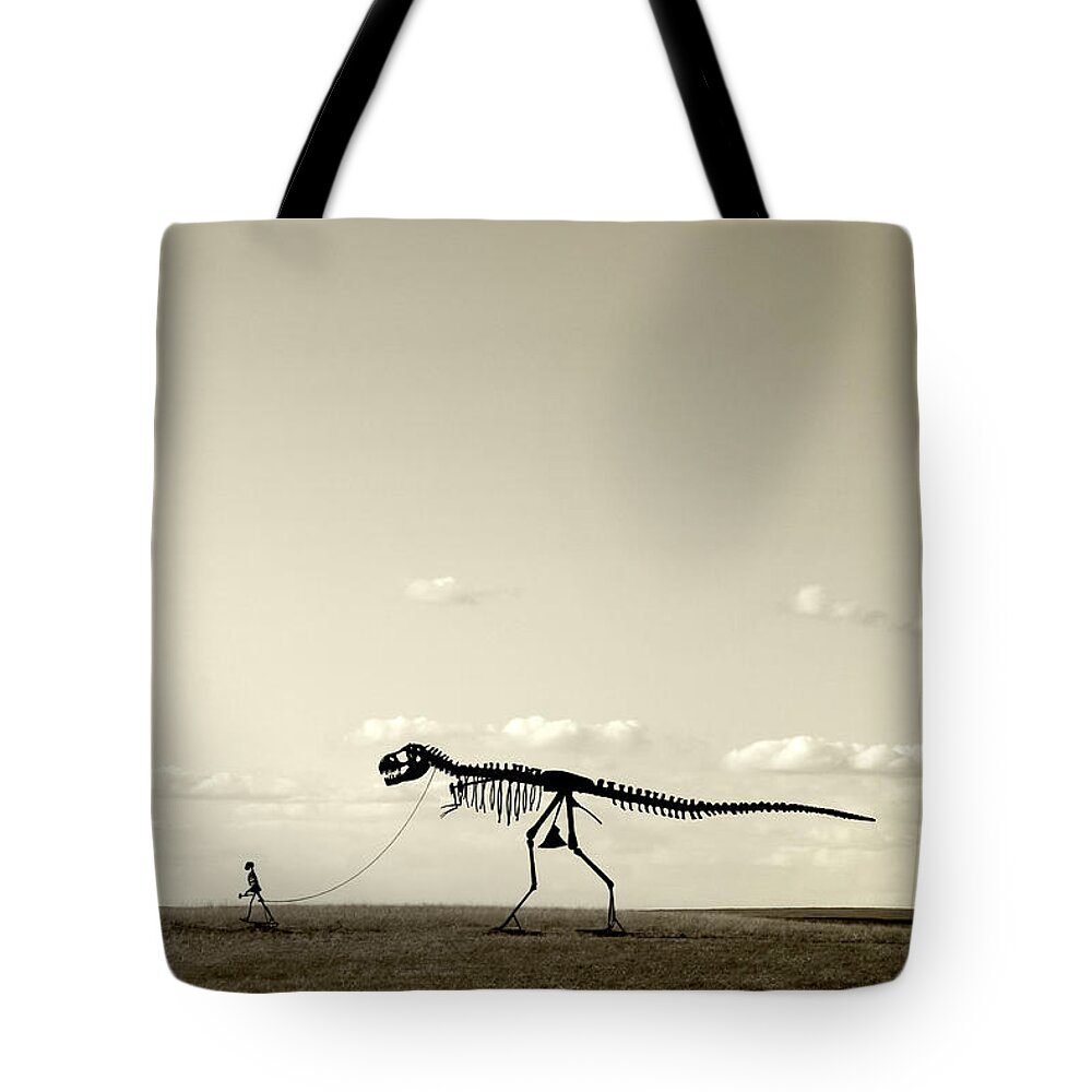 Evolution Tote Bag featuring the photograph Evolution by Todd Klassy