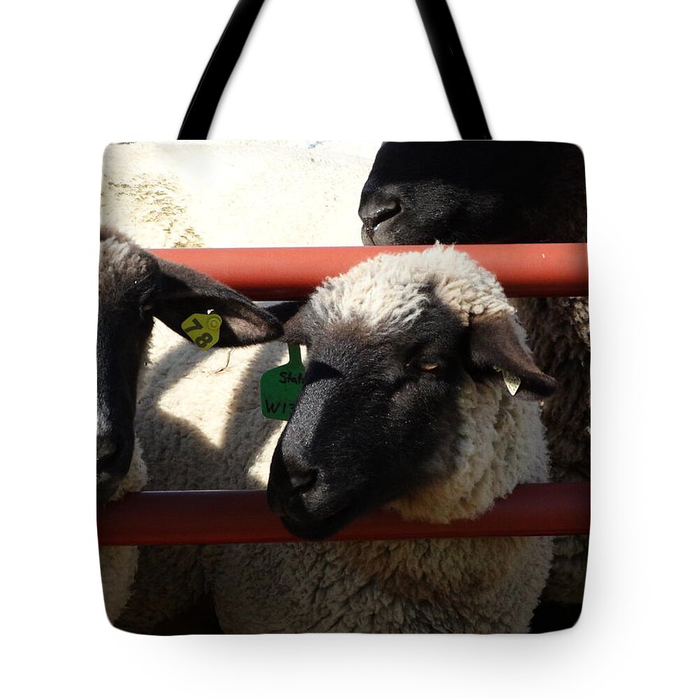 Sheep Tote Bag featuring the photograph Ewe Gate by J L Zarek
