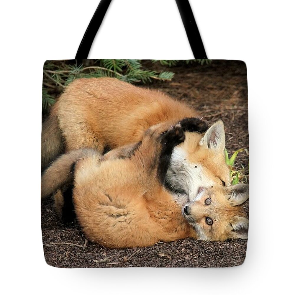 Red Fox Tote Bag featuring the photograph Excuse Me - I Need Some Help Here by Doris Potter