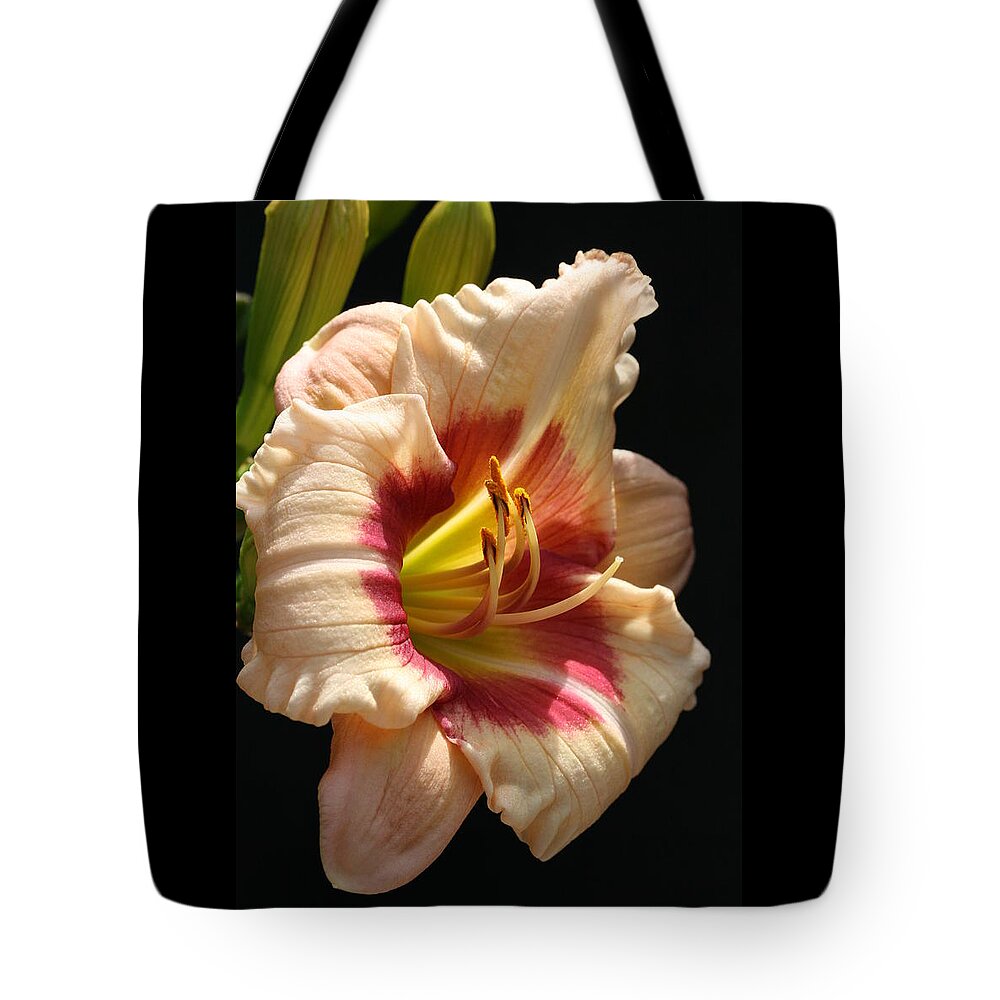Daylilies Tote Bag featuring the photograph Exotic Candy Daylily by Tammy Pool