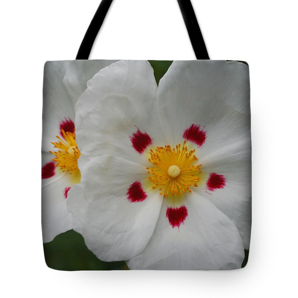 Botanical Tote Bag featuring the photograph Exotic Eyes by Tammy Pool