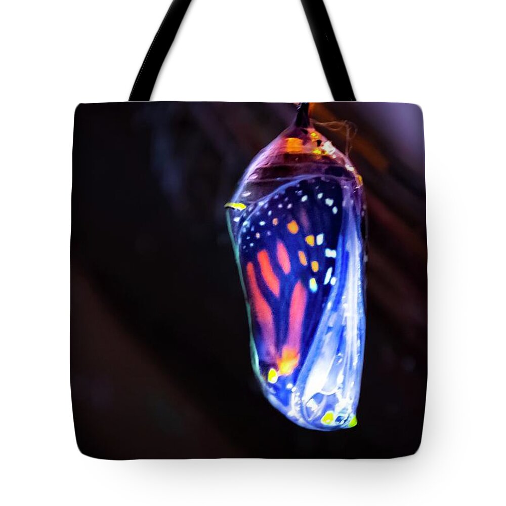 Chrysalis Tote Bag featuring the photograph Expectation by Terri Hart-Ellis