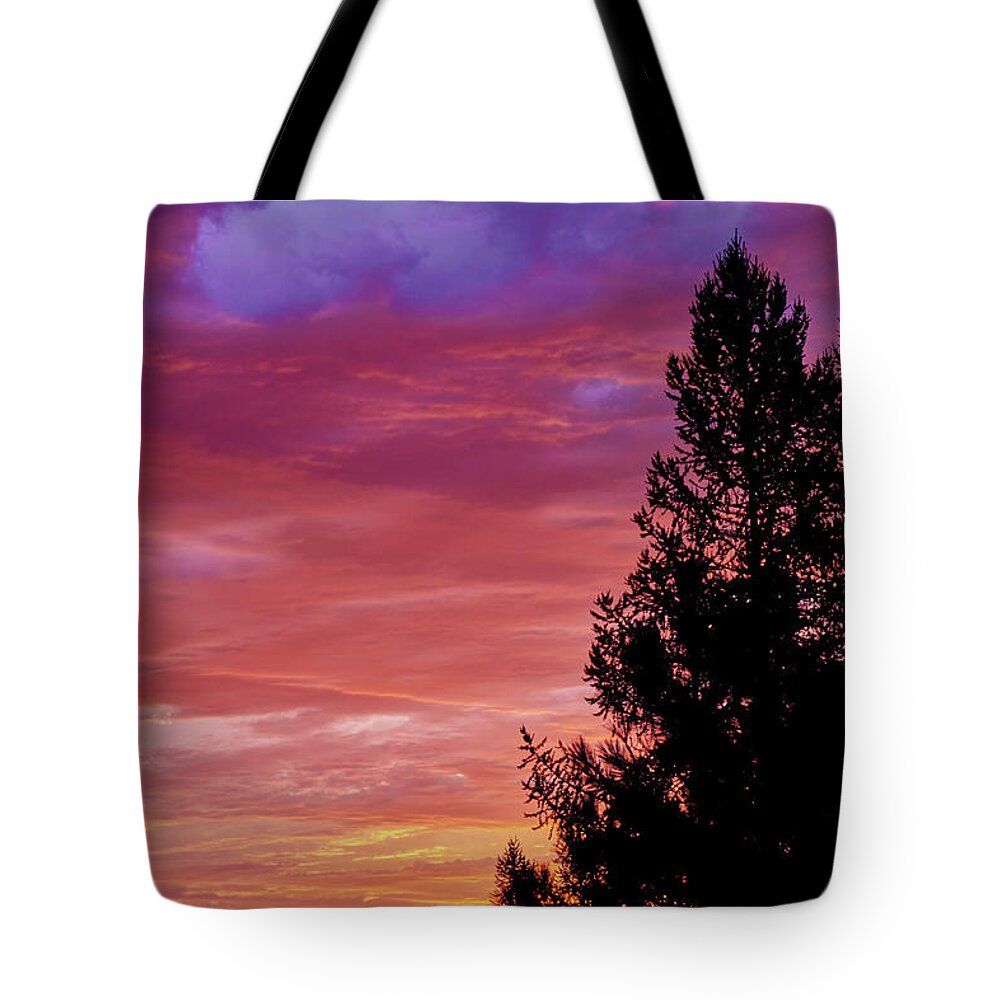 Sunrise Tote Bag featuring the photograph Exploding Color by Loni Collins