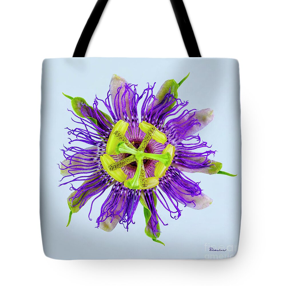 Expressive Tote Bag featuring the photograph Expressive Yellow Green and Violet Passion Flower 50674B by Ricardos Creations