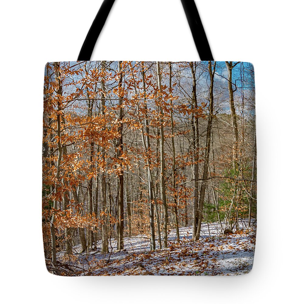 Rental Tote Bag featuring the photograph Exterior 41 by William Norton