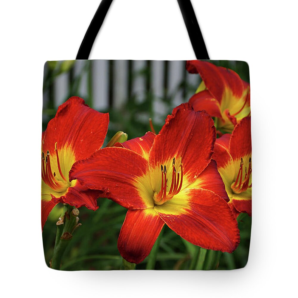 Daylily Tote Bag featuring the photograph Eye Catching by Sandy Keeton
