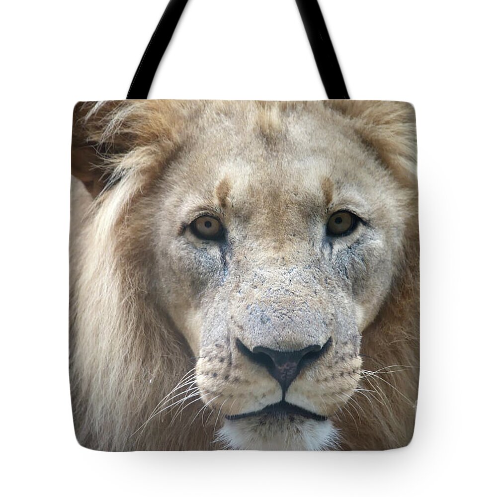 Michelle Meenawong.eye Contact.africa Tote Bag featuring the photograph Eye Contact by Michelle Meenawong