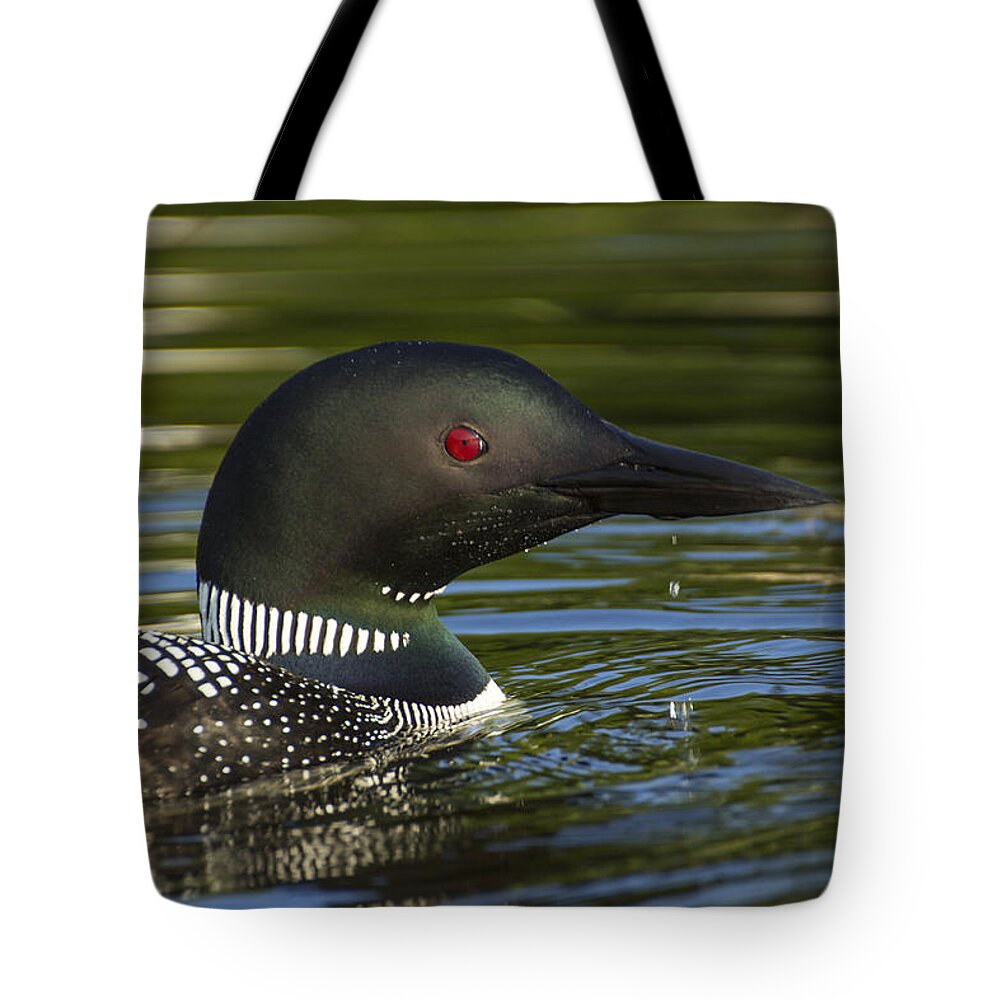 Cottage Tote Bag featuring the photograph Eye Of The Hunter - Common Loon - Gavia Immer by Spencer Bush