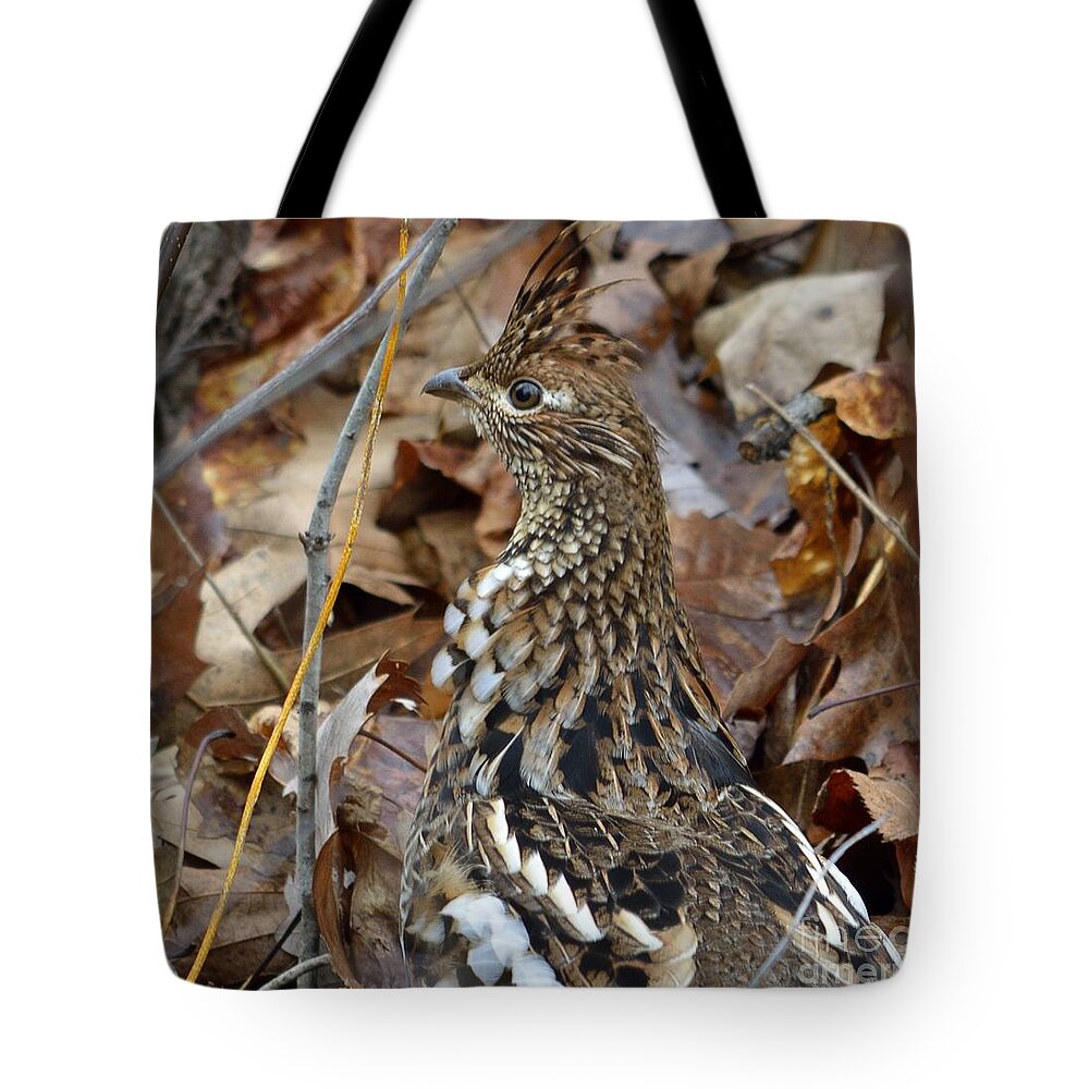 Game Birds Tote Bag featuring the photograph Eye of the RUGR by Randy Bodkins