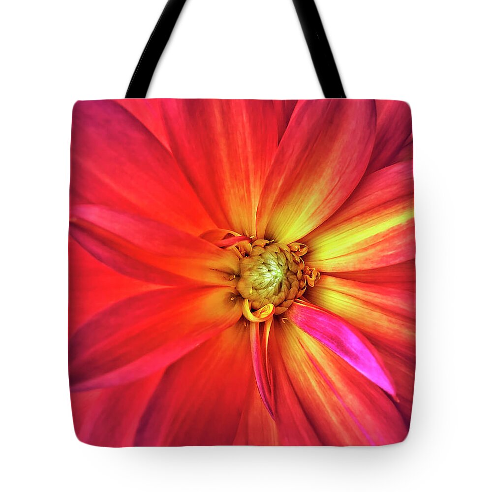 Dahlia Tote Bag featuring the photograph Eye of the Storm by Jill Love