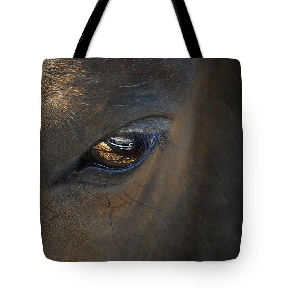 Horse Tote Bag featuring the photograph Eye On The Fence by Donna Blackhall