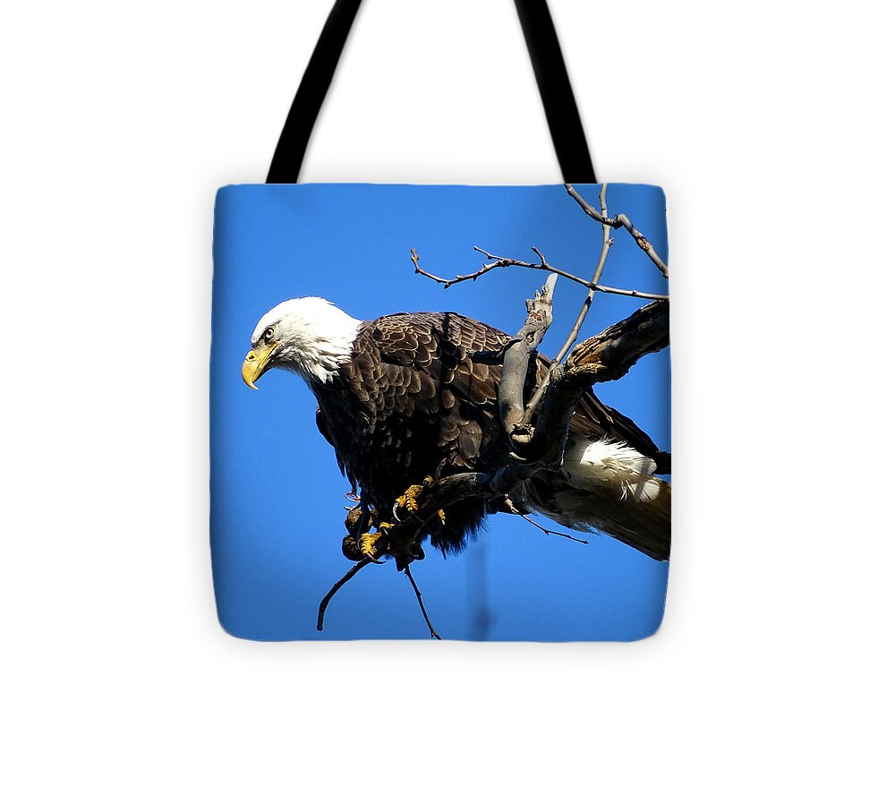 Eye On The Prize Tote Bag featuring the photograph Eye on the Prize by Dark Whimsy