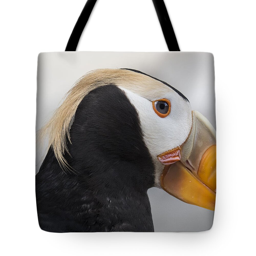 Alaska Tote Bag featuring the photograph Eyebrows of the Tufted by Ian Johnson