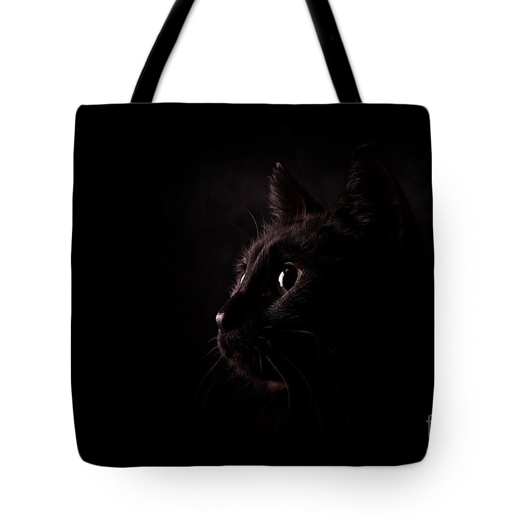 Cat Tote Bag featuring the photograph Eyes and Nose by Sari ONeal