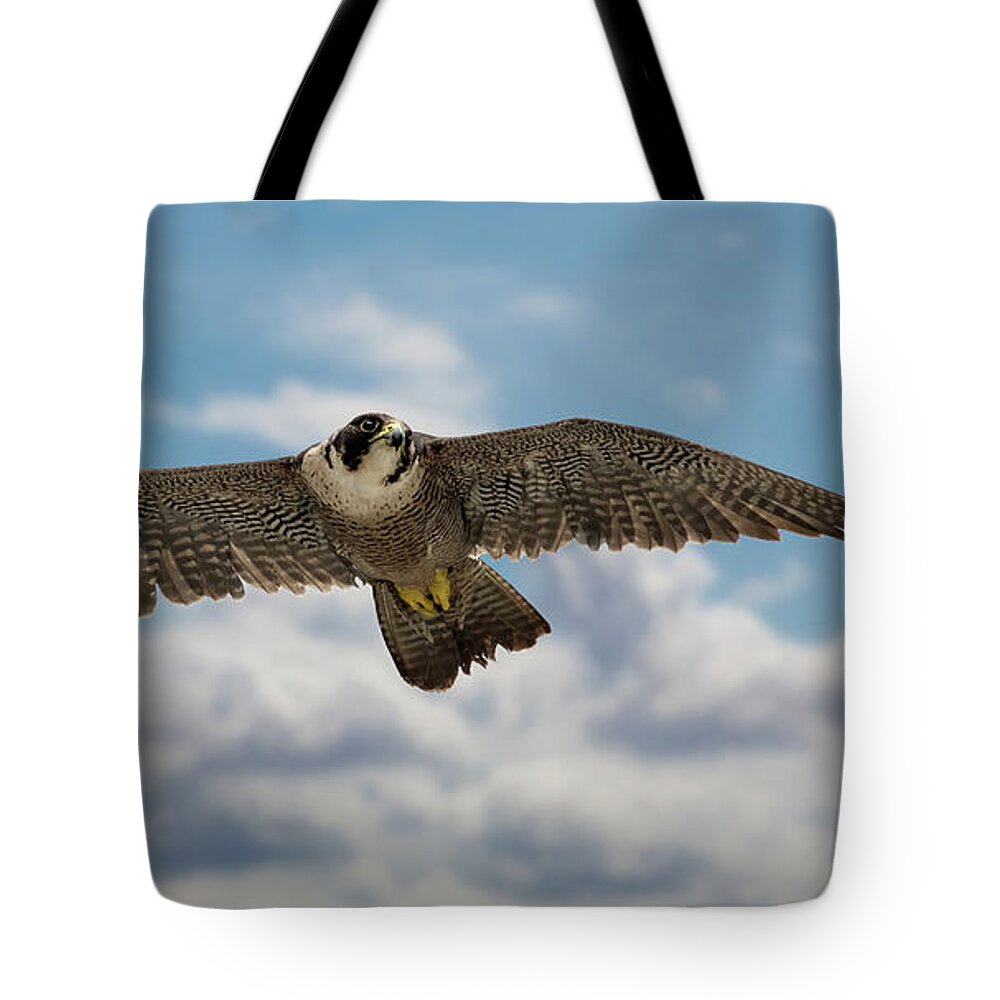 Bird Tote Bag featuring the photograph Eyes in the sky by Bruce Bonnett