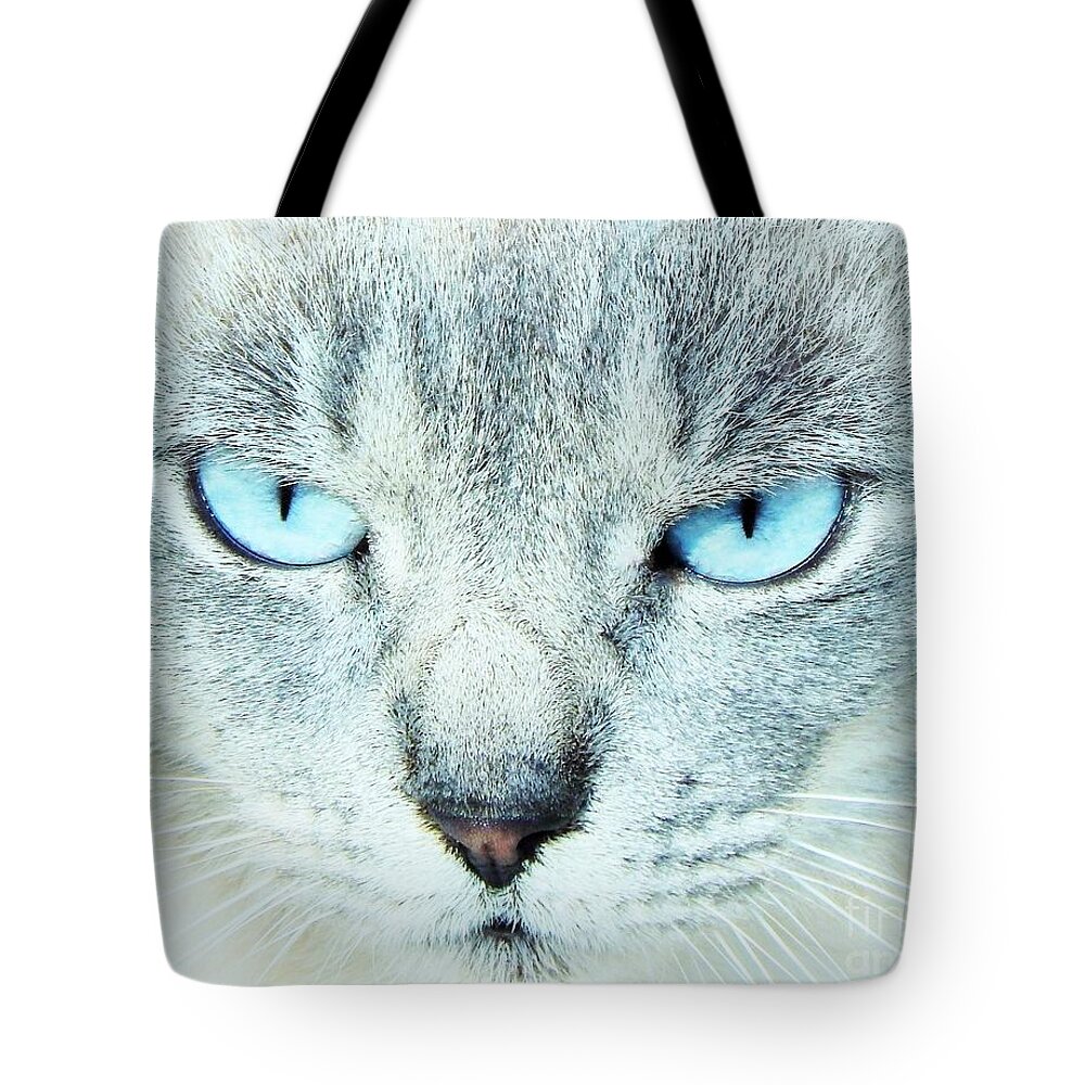 Cat Tote Bag featuring the photograph Eyes Of Blue by Jan Gelders