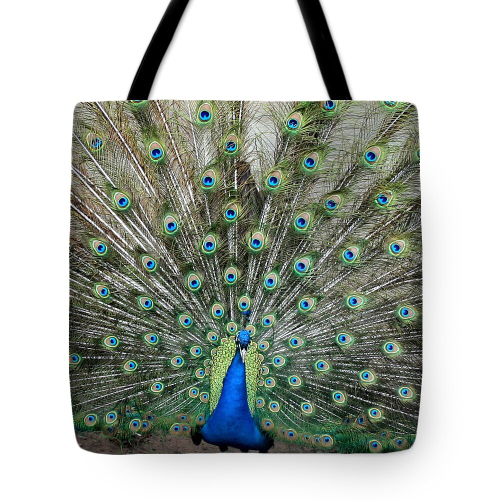 Peacock Tote Bag featuring the photograph Eyes See You by George Jones