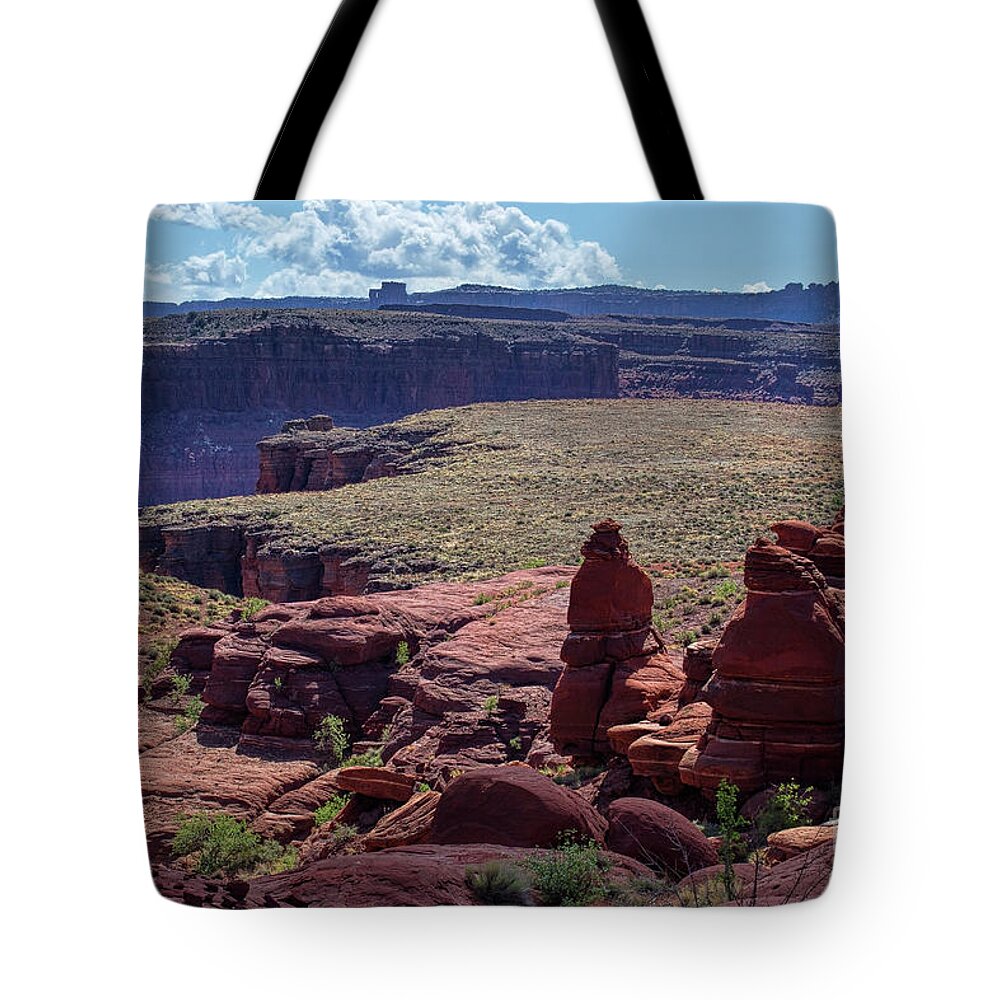 Canyonlands National Park Landscape Tote Bag featuring the photograph Eyewitness to Creation by Jim Garrison