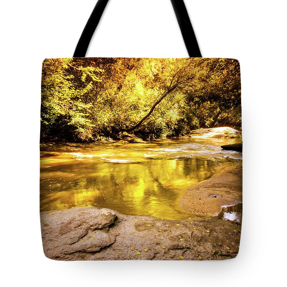 Face Tote Bag featuring the photograph Face In The Water by Randy Sylvia