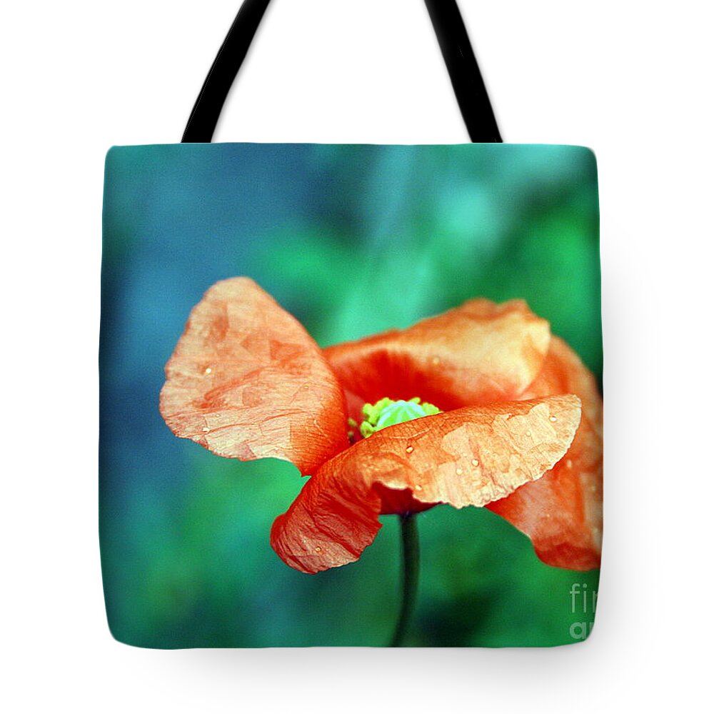 Poppy Tote Bag featuring the photograph Face of love by Vix Edwards