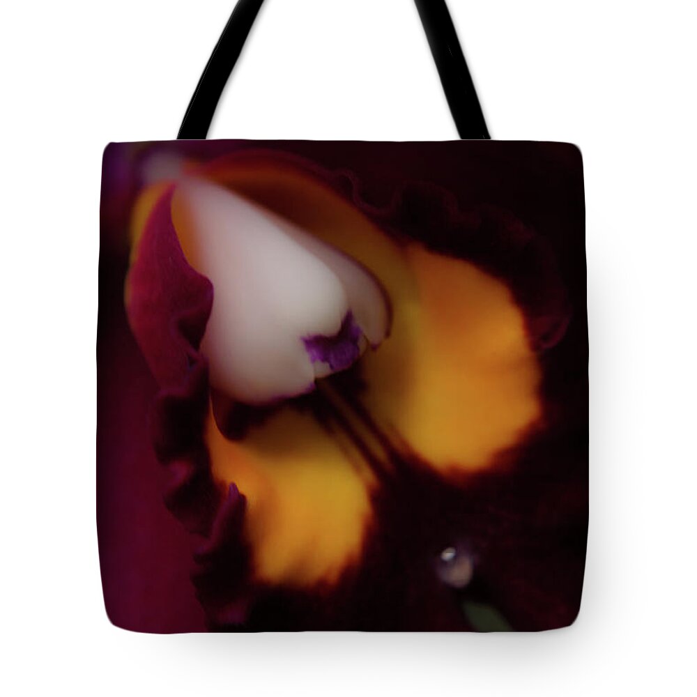Cleveland Tote Bag featuring the photograph Faces by Stewart Helberg