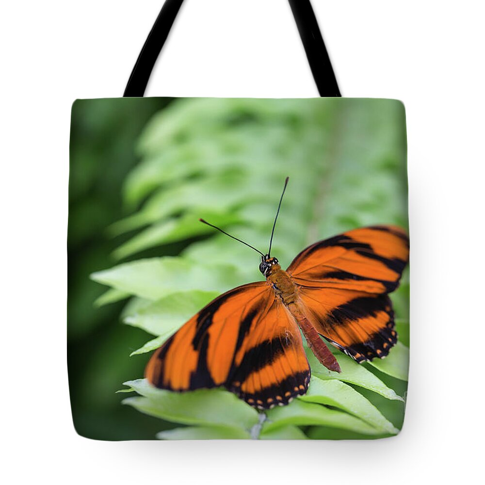 Fackel Tote Bag featuring the photograph Fackel by Eva Lechner