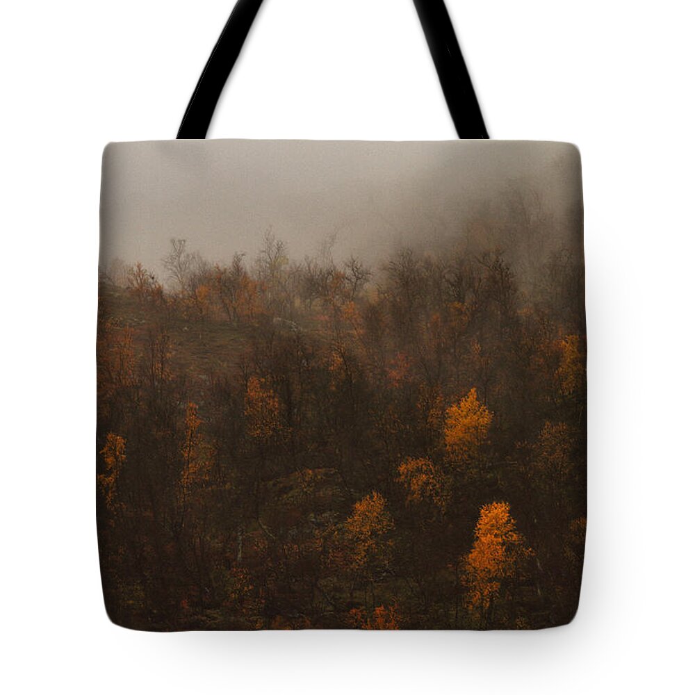 Fall Tote Bag featuring the photograph Fading Fall Colors I by Pekka Sammallahti