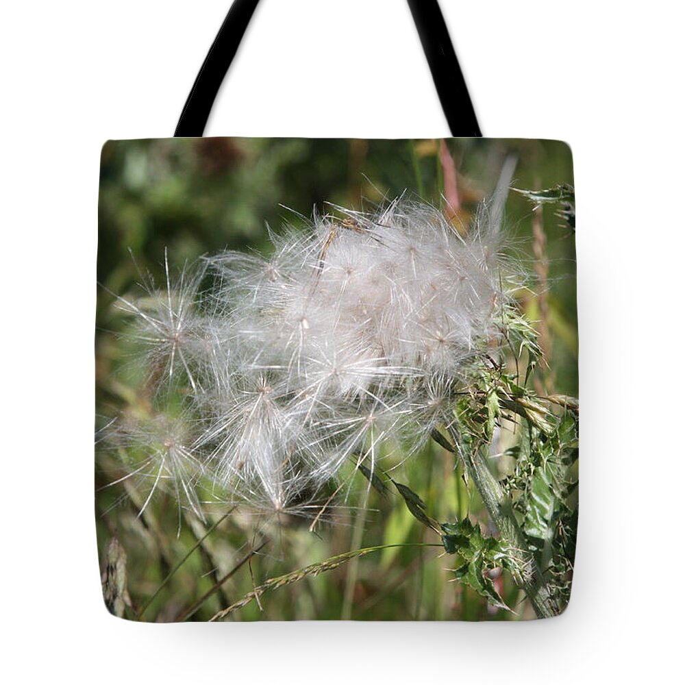 Thistle Tote Bag featuring the photograph Fairy Dust by Captain Debbie Ritter