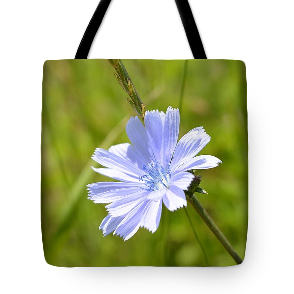  Tote Bag featuring the photograph Fairy Dust Origin by Dani McEvoy